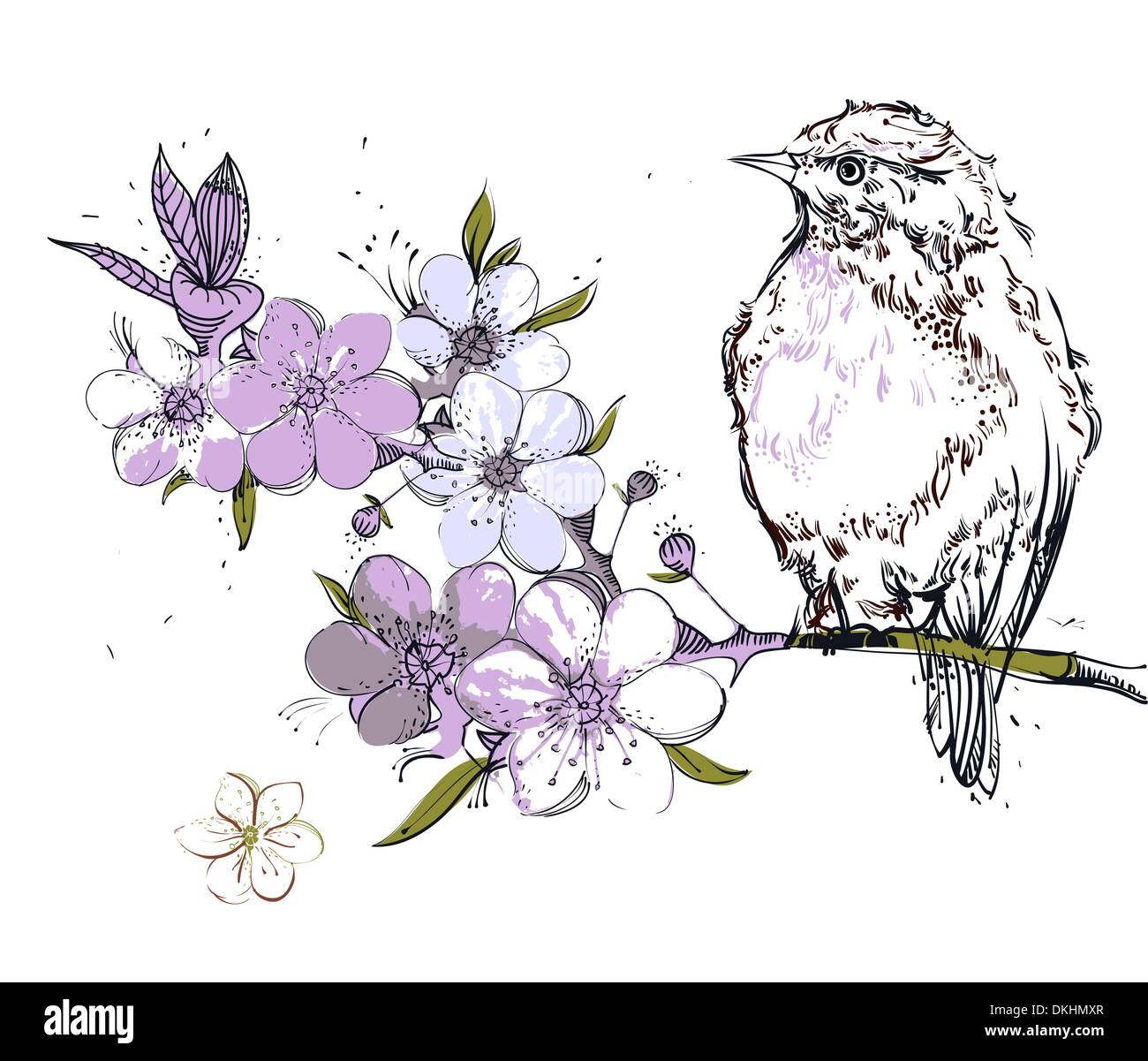 vector illustration of a bird sitting on blooming apple tree Stock ...