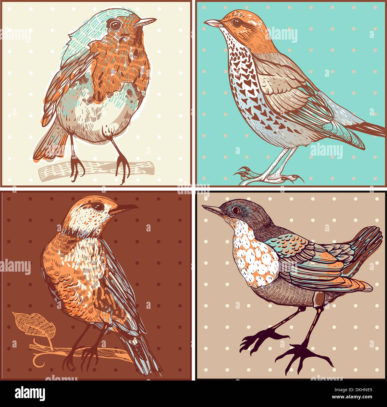 vector set of vintage cards with hand-drawn birds Stock Vector Image ...