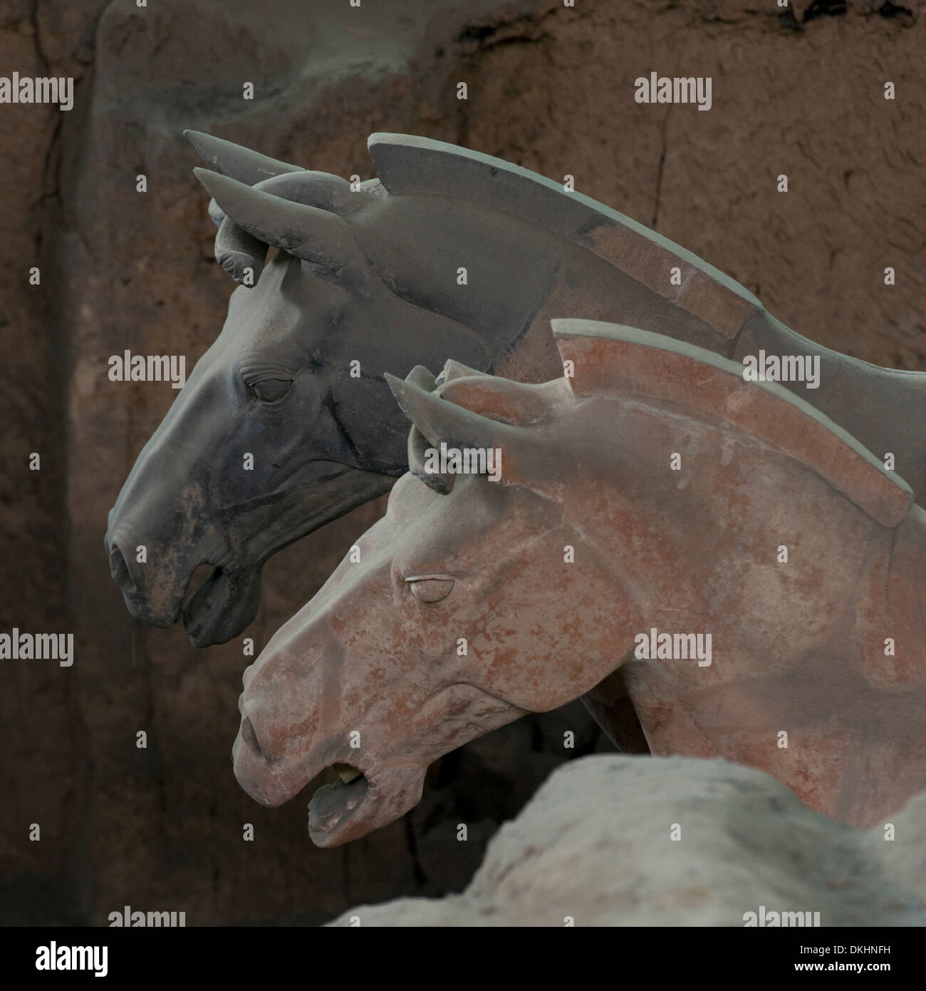 Terracotta horse statue at the Terracotta Warriors Army Museum, Xi'an