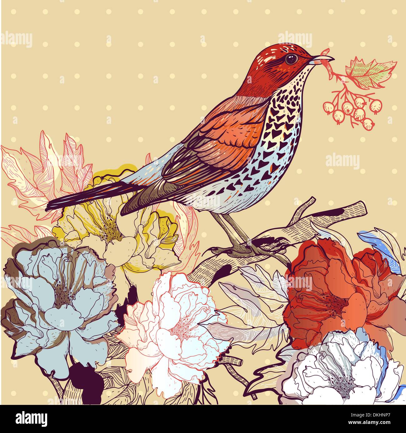 vector illustration of a bird and blooming roses Stock Vector Image ...