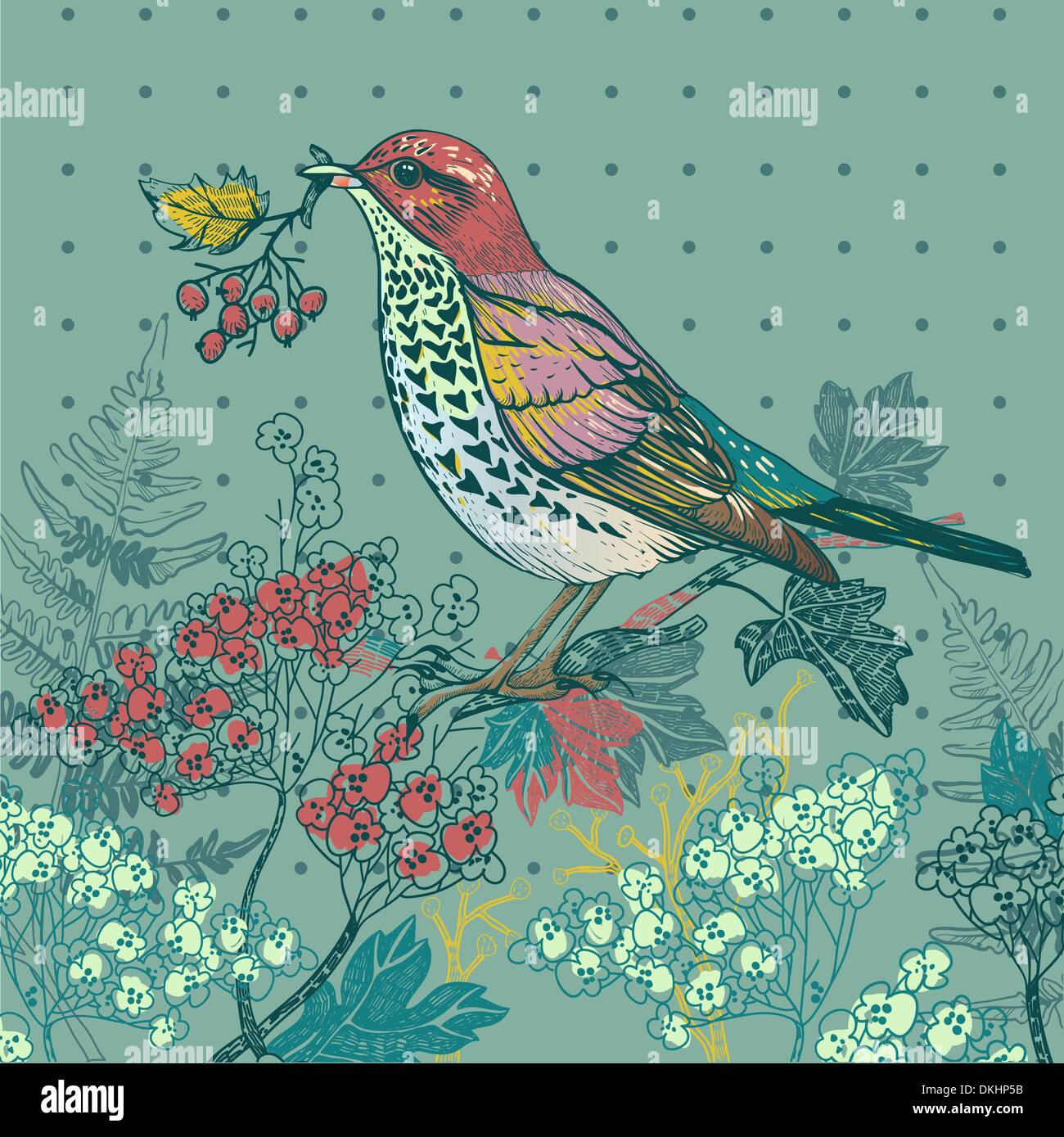 vector illustration of a bird with blooming autumn plants Stock Vector ...
