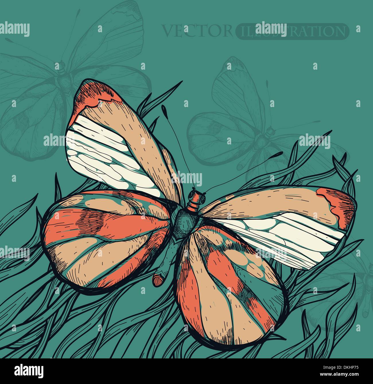 Multi Butterfly Drawing vector illustration of a multi-colored butterfly Stock Vector Image ...