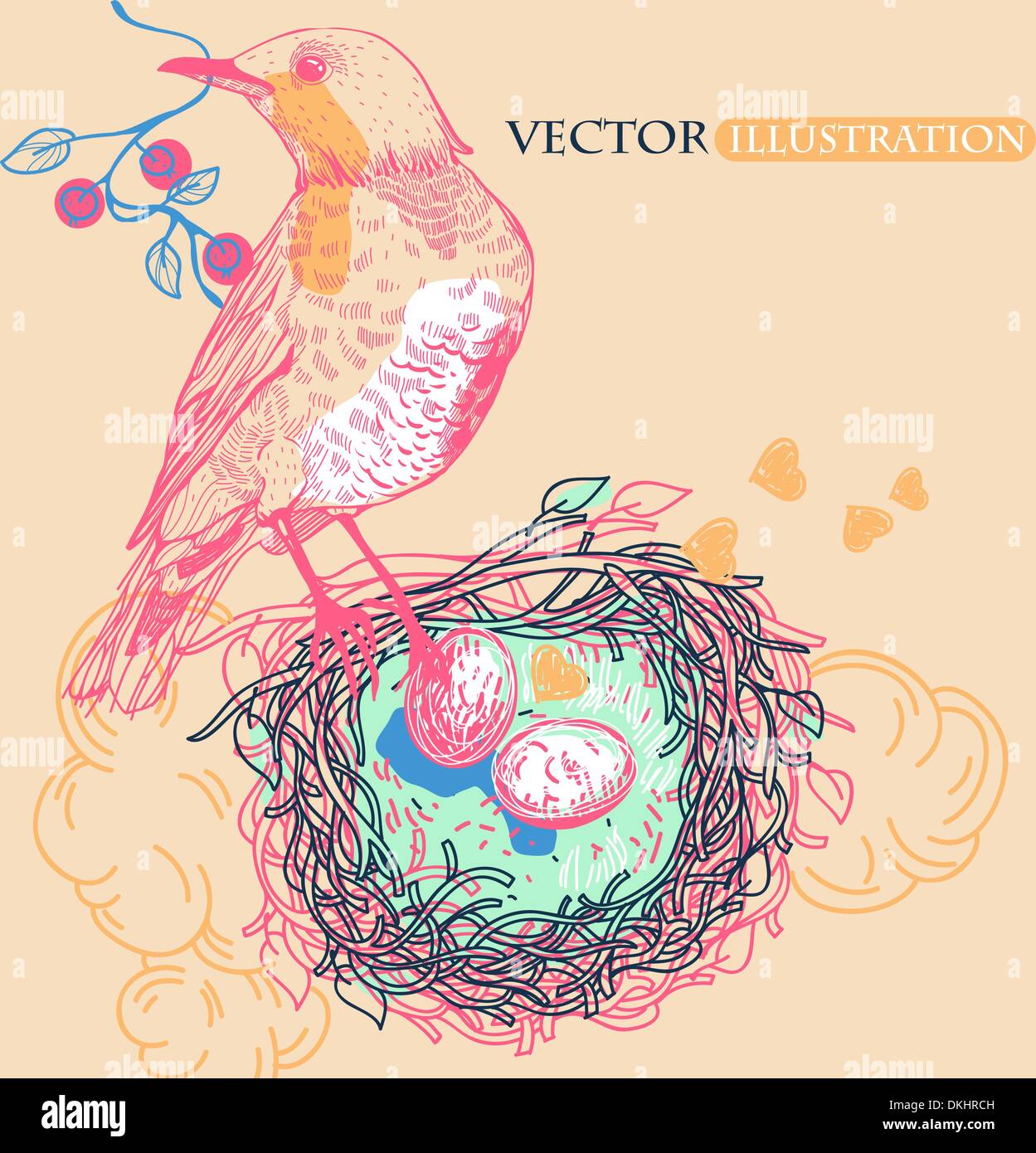 vector illustration of a colorful bird with a nest Stock Vector Image ...