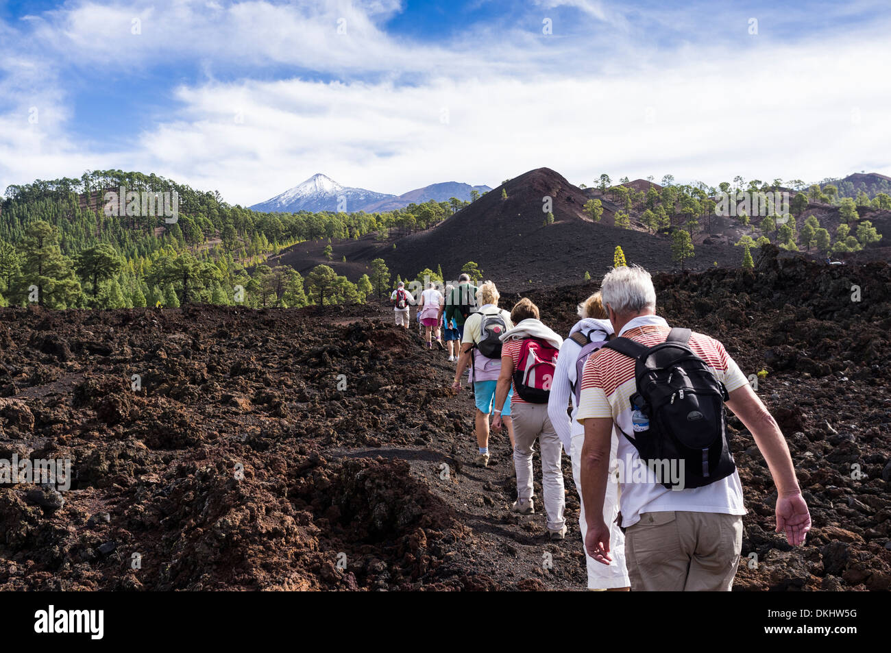 A group of walkers in single file cross a rocky lava flow in Chinyero with a snowcapped teide in the background, Tenerife. Stock Photo