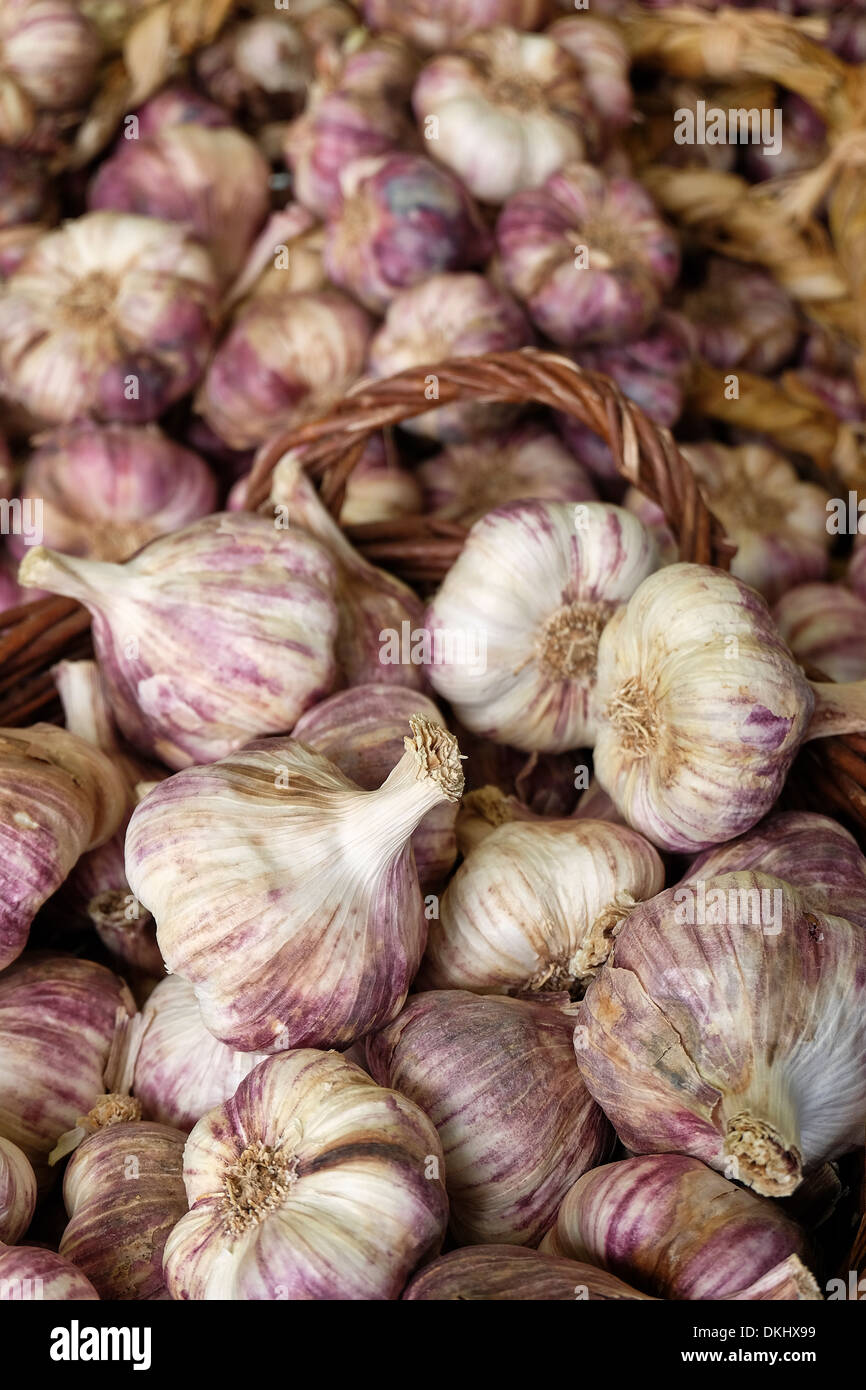 Garlic bulbs Stock Photo