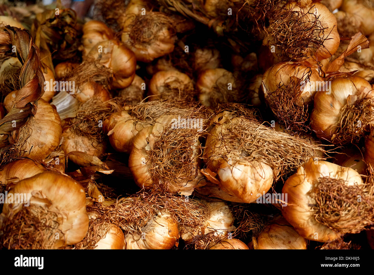 Smoked garlic bulbs Stock Photo