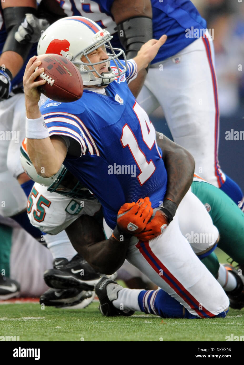 Bills dolphins hi-res stock photography and images - Page 2 - Alamy