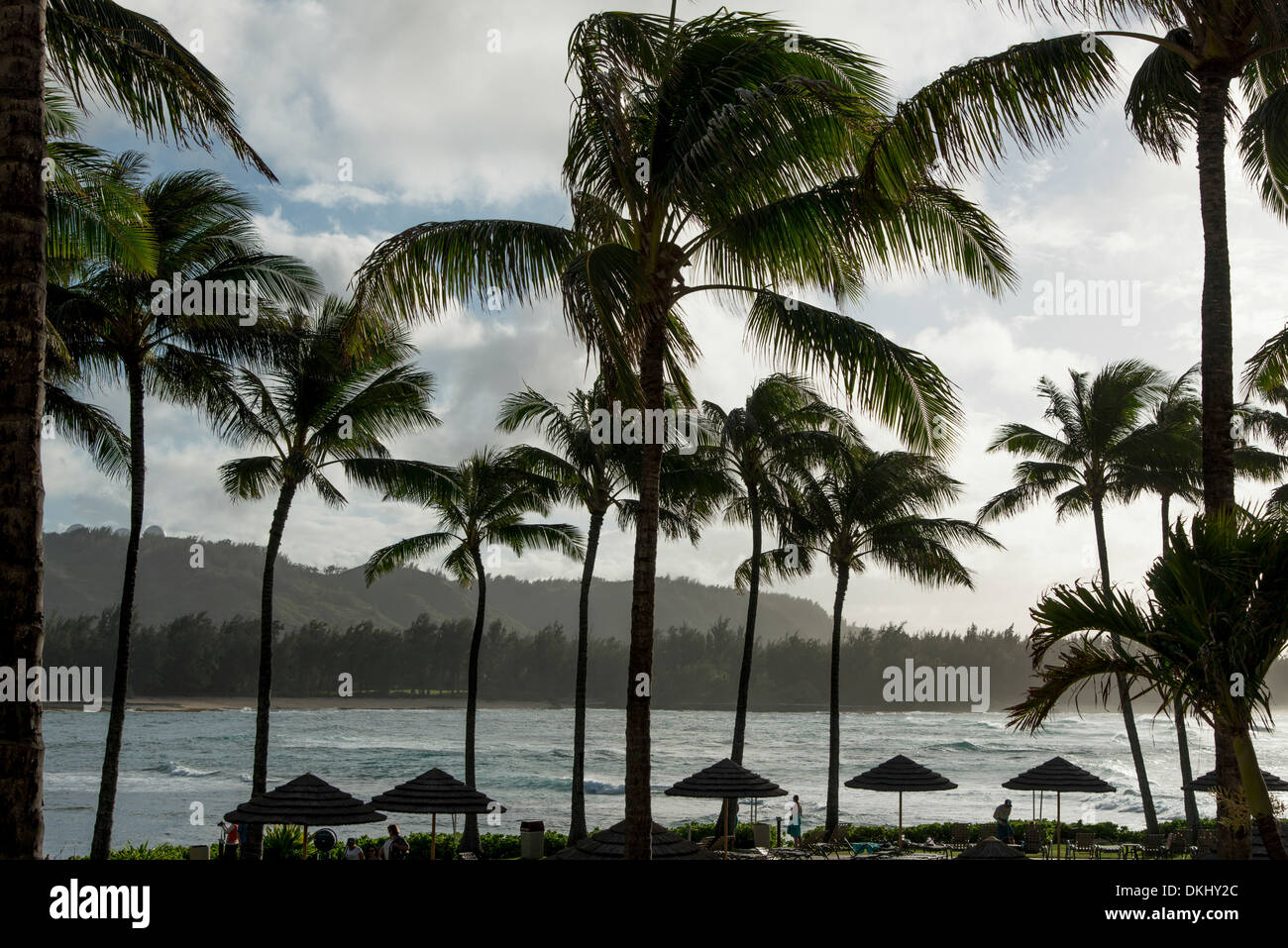 Resort On The Beach North Shore Oahu Hawaii USA Stock Photo Alamy resort-on-the-beach-north-shore-oahu-hawaii-usa-stock-photo-alamy