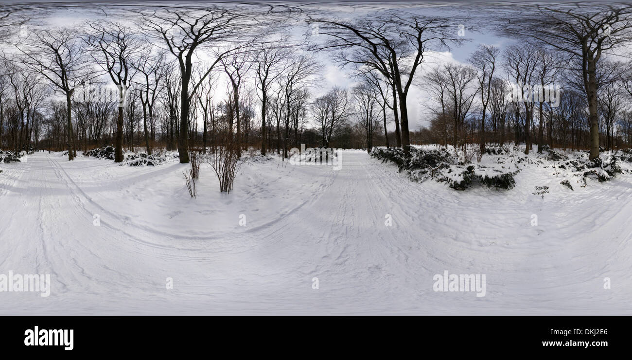 360 x 180 degree panorama: winter in the Tiergarten park in Berlin. Stock Photo