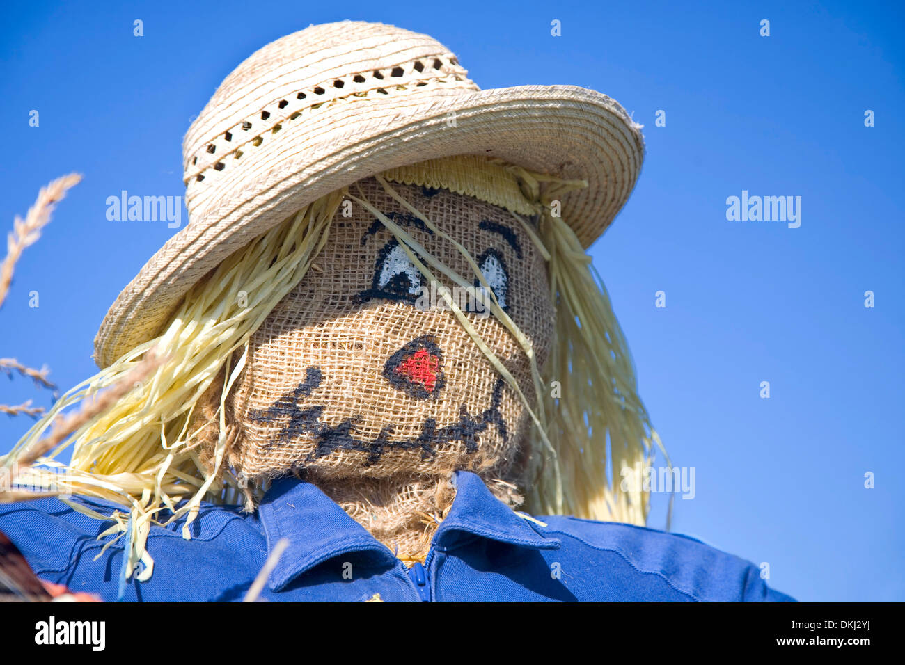 Stuffed Scarecrow Decoration Stock Photos Stuffed Scarecrow