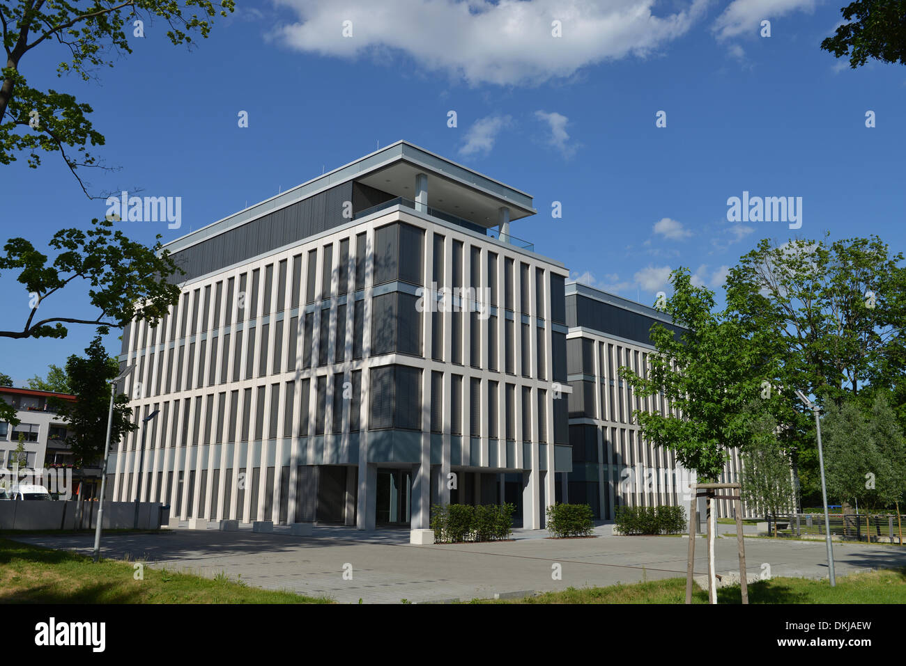 Pro Potsdam, Pappelallee, Potsdam, Brandenburg, Deutschland Stock Photo
