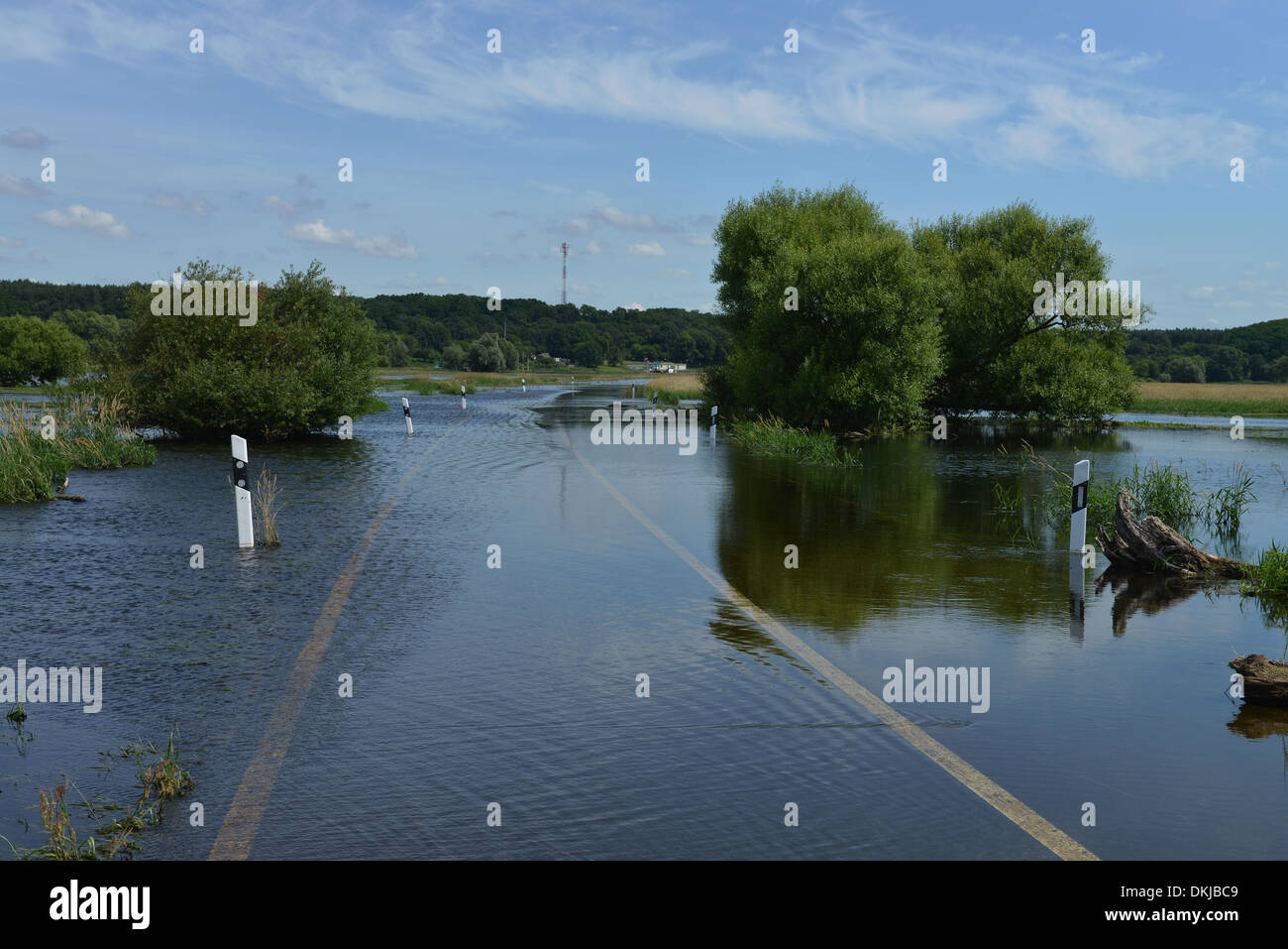Hochwasser, Oder bei Guestebieser Loose, Brandenburg, Deutschland / Güstebieser Stock Photo
