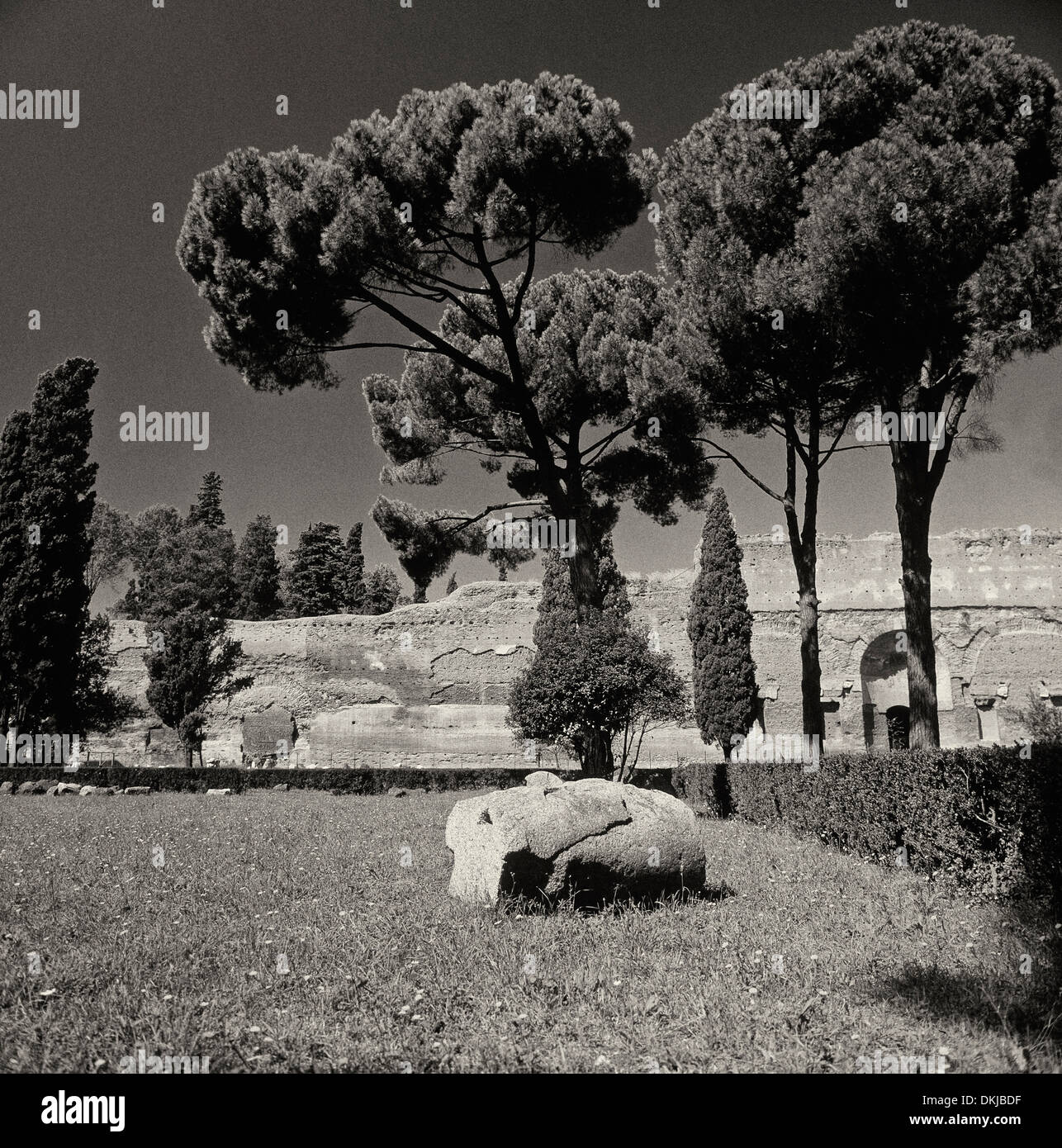 Rome, Roma, The Eternal City, Roma Capitale has a rich history which(05)