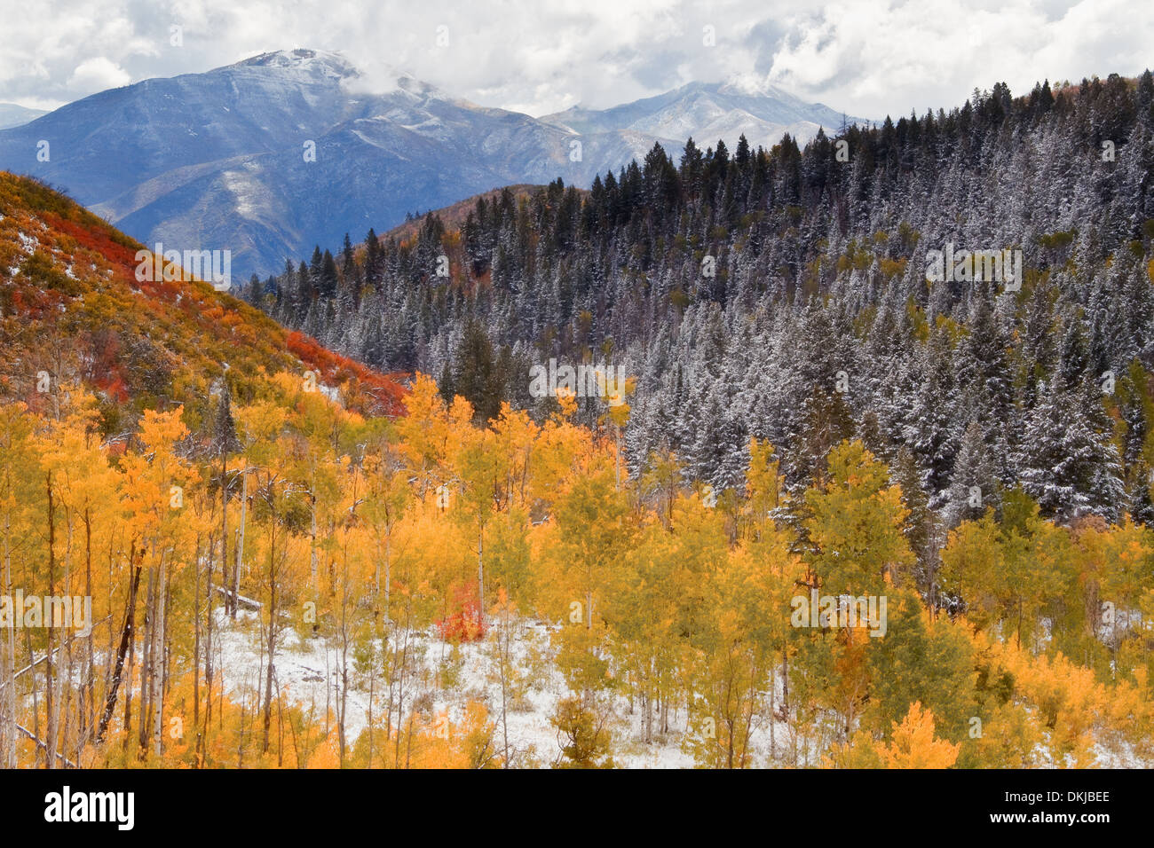 Wasatch Mountains Stock Photo