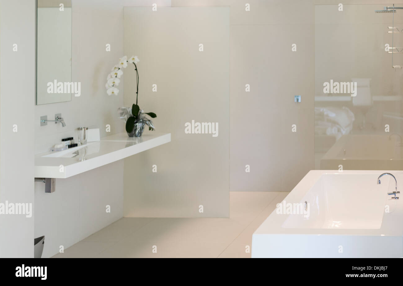Orchid, sink and bathtub in modern bathroom Stock Photo