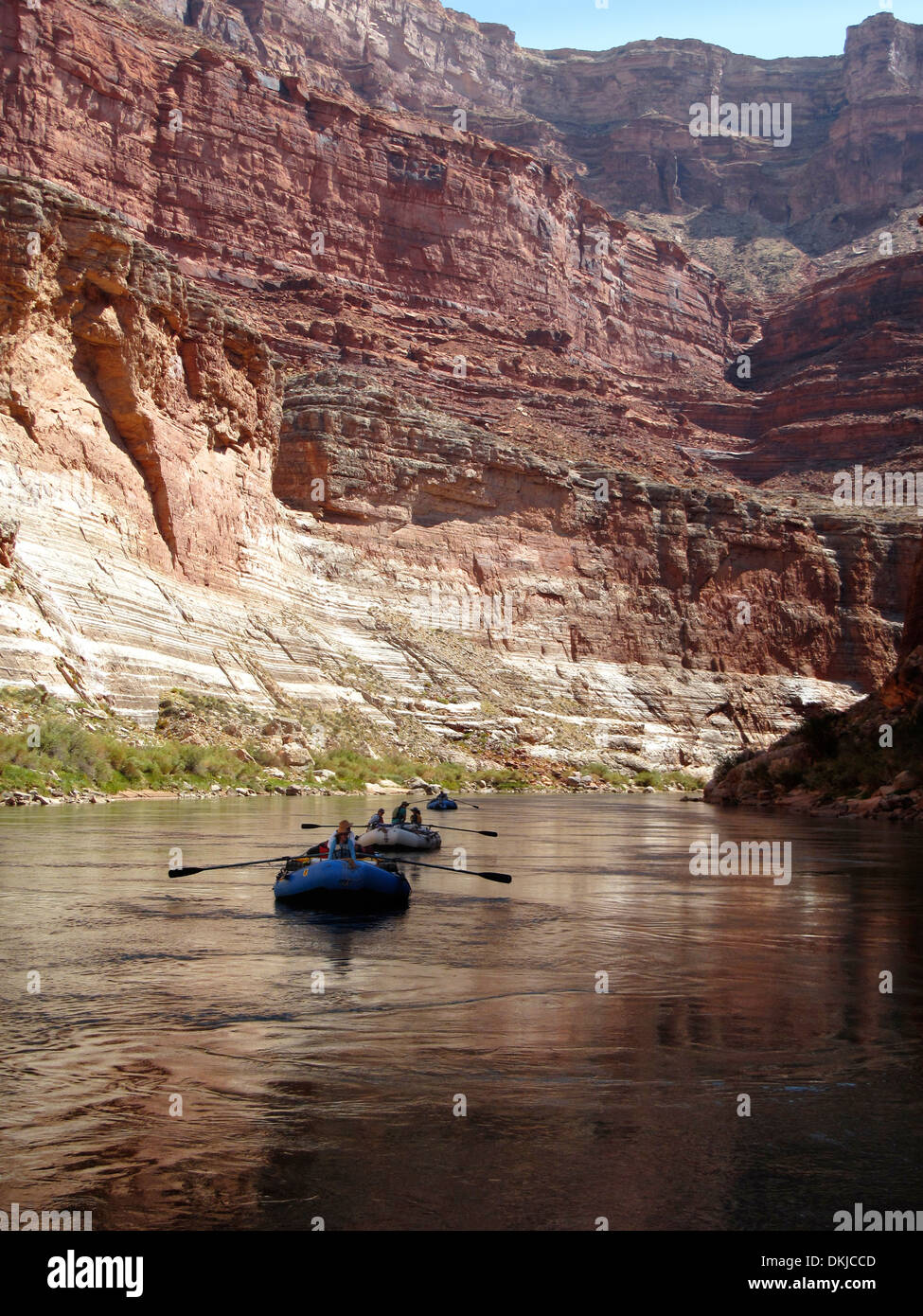 Three white water rafts row through a calm stretch of the Redwall section of the Grand Canyon. Stock Photo