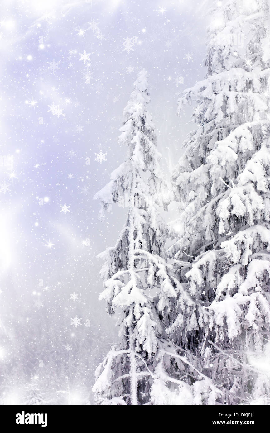 Winter landscape with snowy fir trees Stock Photo - Alamy