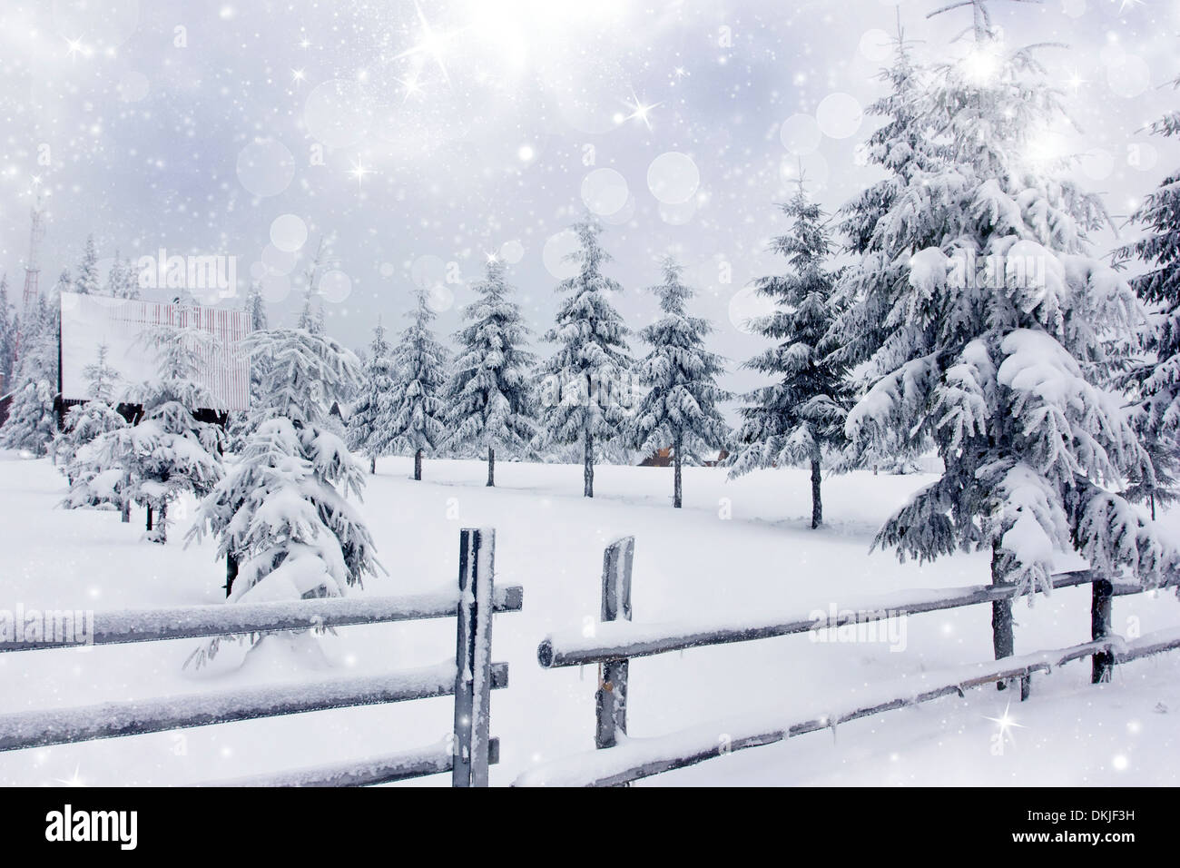Winter landscape with snowy fir trees Stock Photo - Alamy