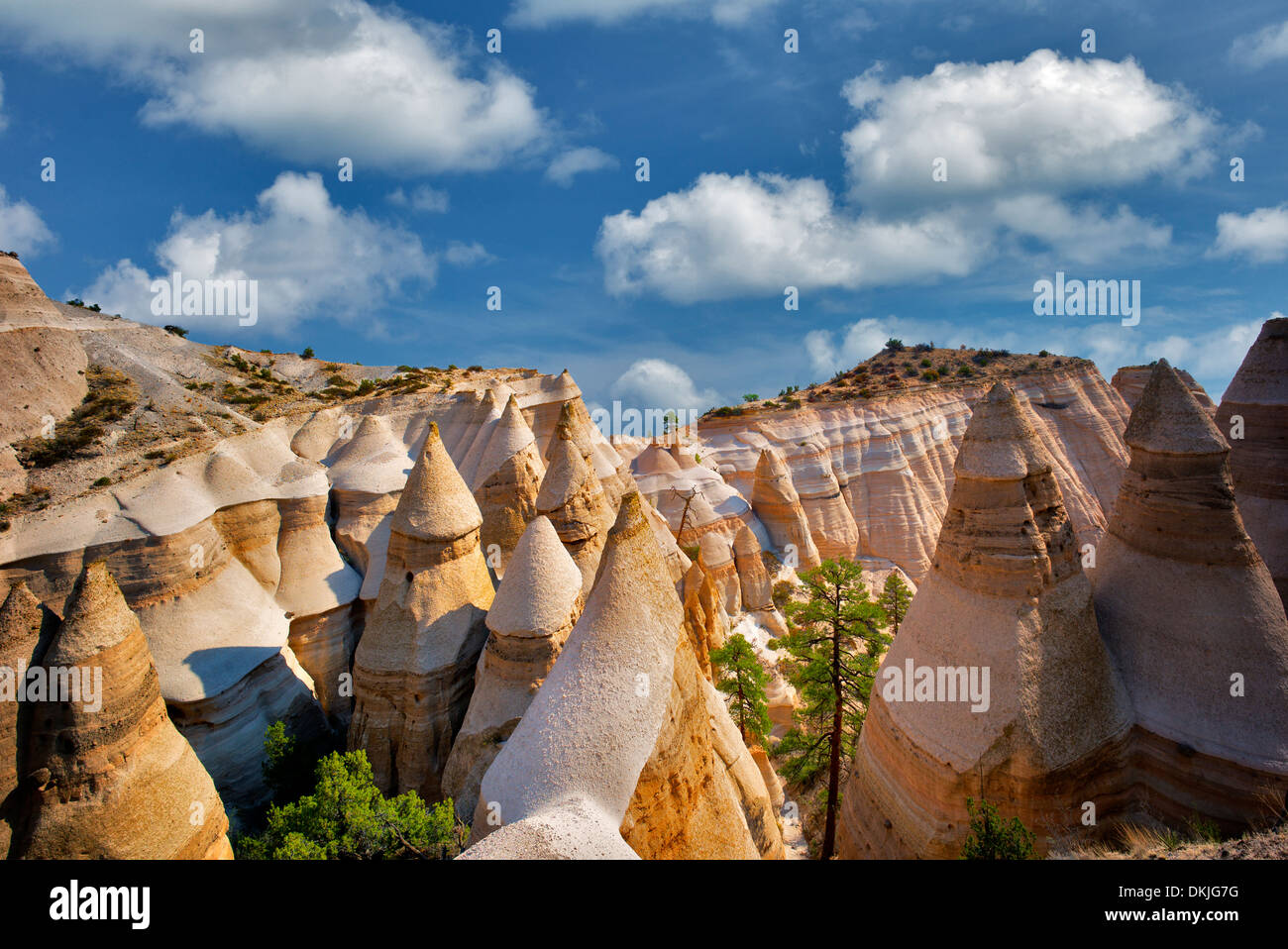 Rock formations and struggling ponderosa pine tree in Tent Rocks National Monument, New Mexico. Stock Photo