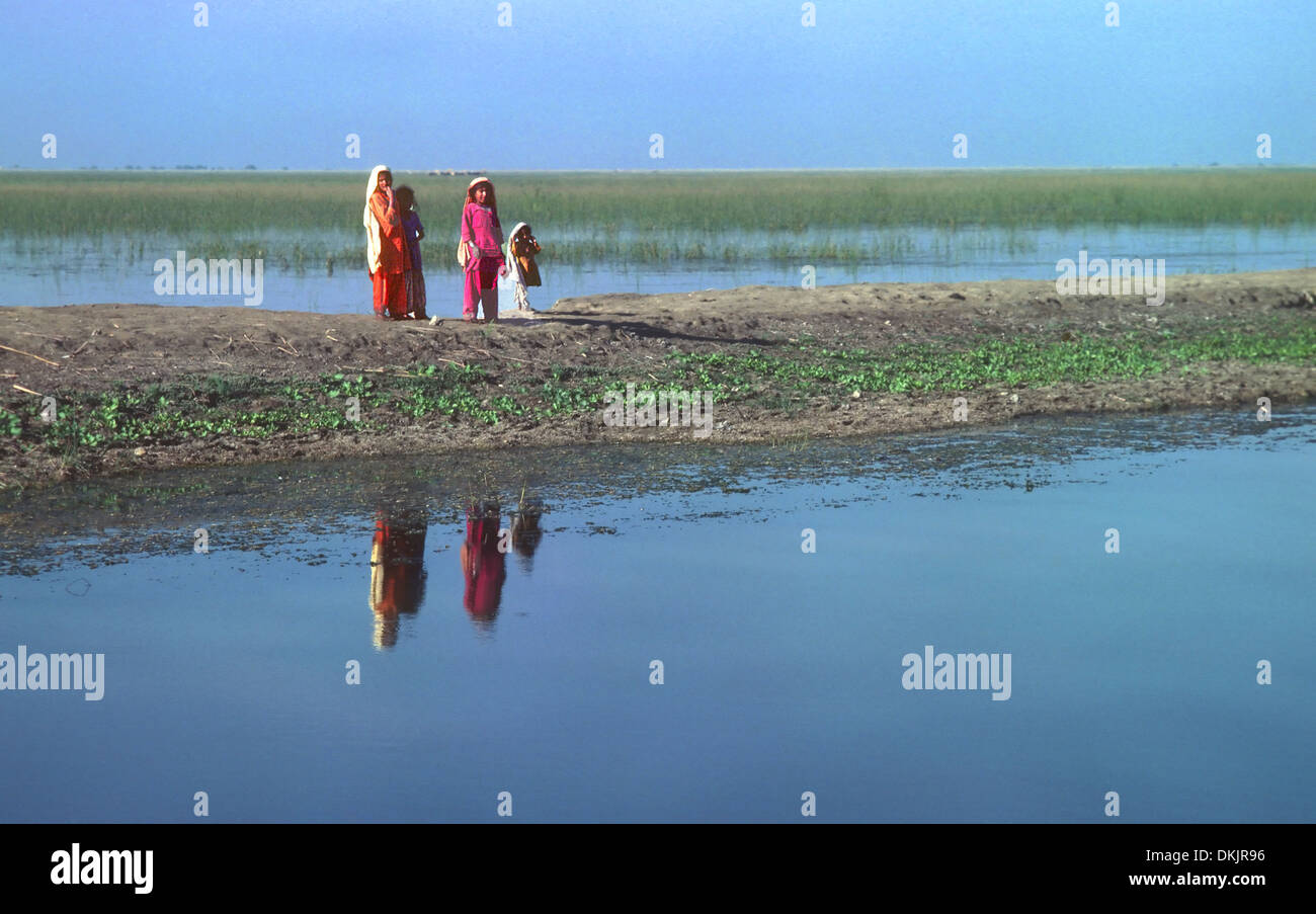 Four young girls Lake Manchar Sind Pakistan Stock Photo