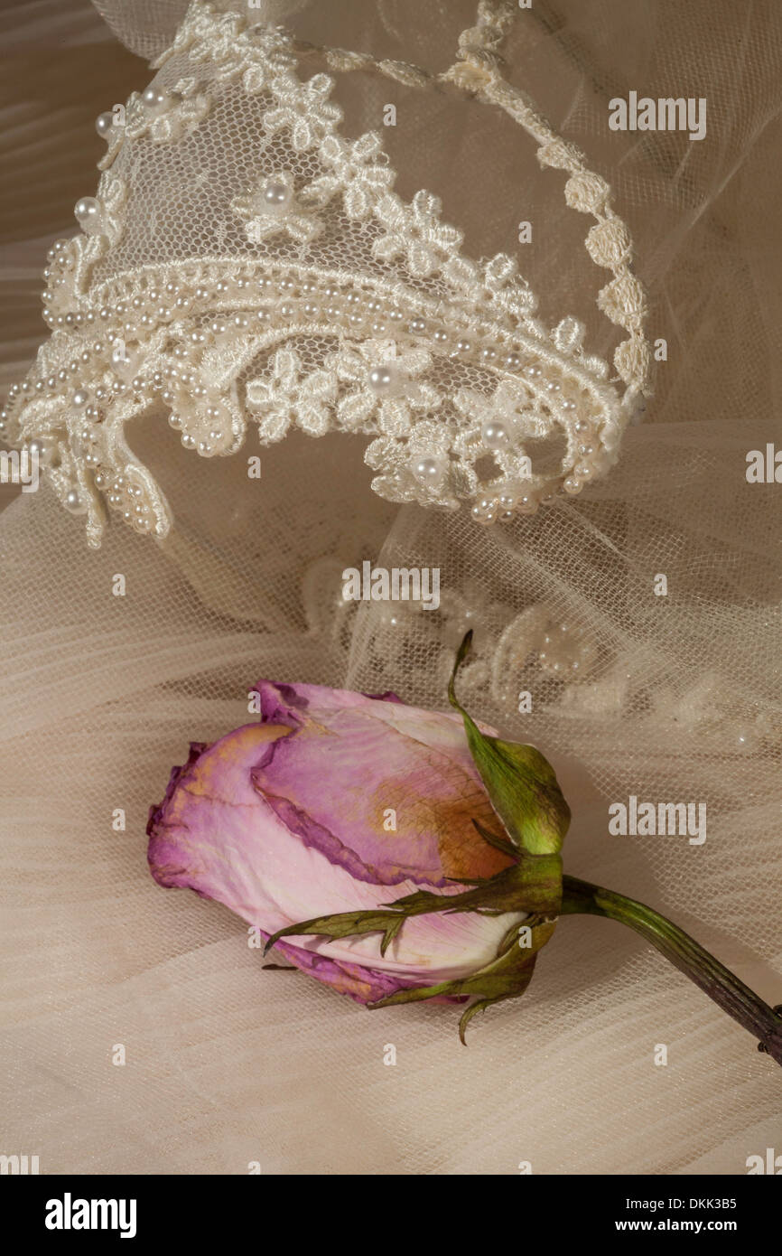 Vintage Wedding Dress, Headpiece and Pressed Rose Still Life Stock Photo