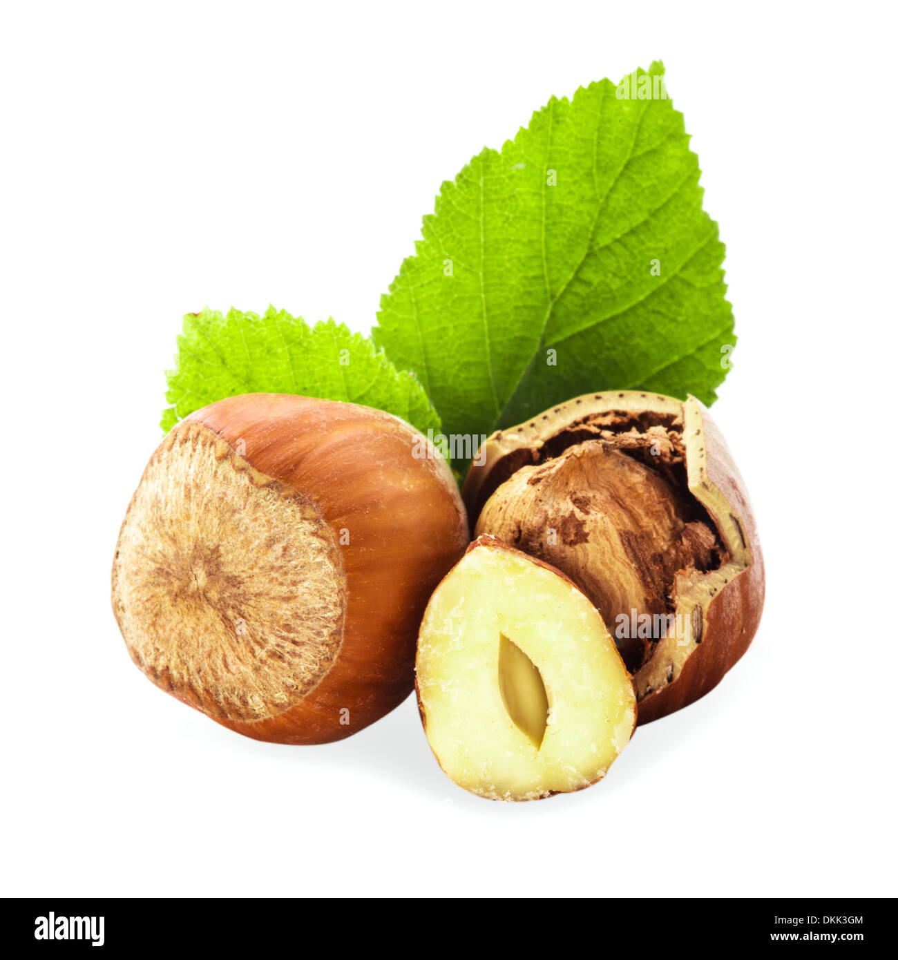 Hazelnuts with shell and green leaf isolated Stock Photo Alamy