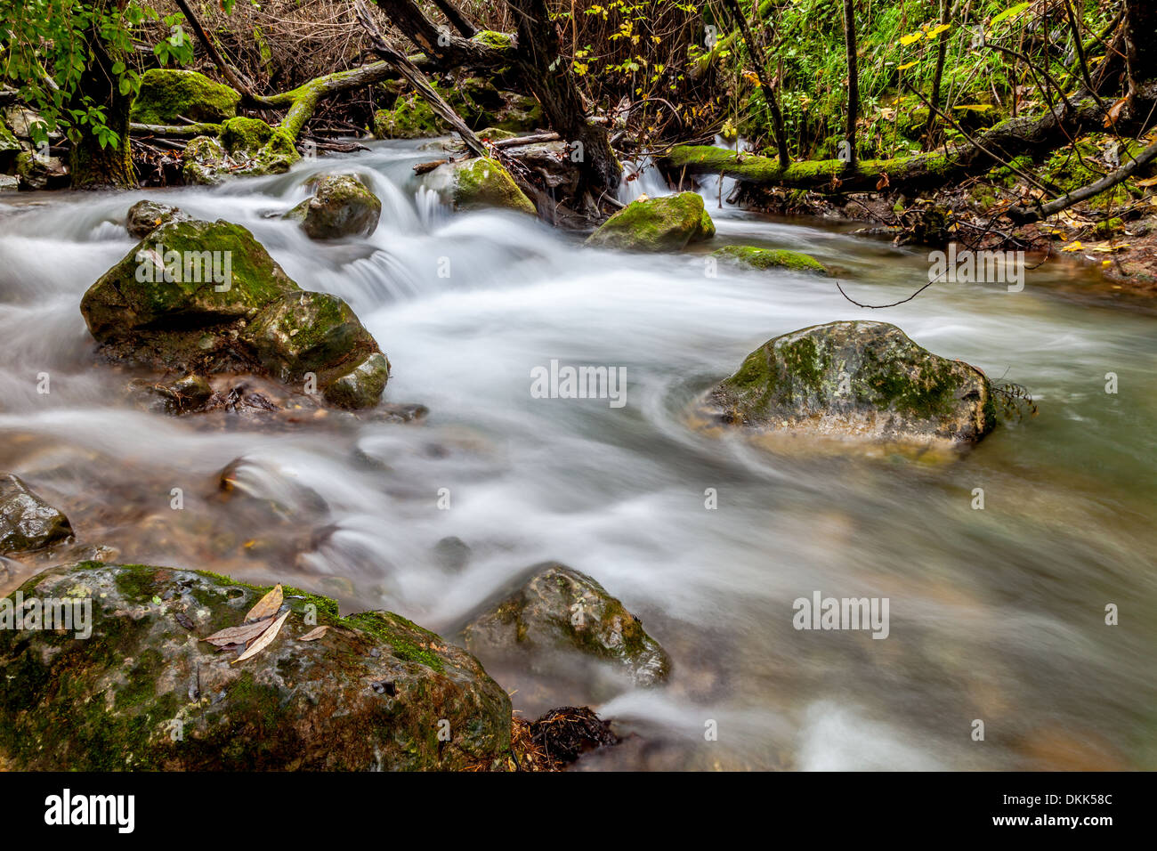 River Majaceite between the towns of El Bosque and Benamahoma on the  province of Cadiz, Spain Stock Photo - Alamy