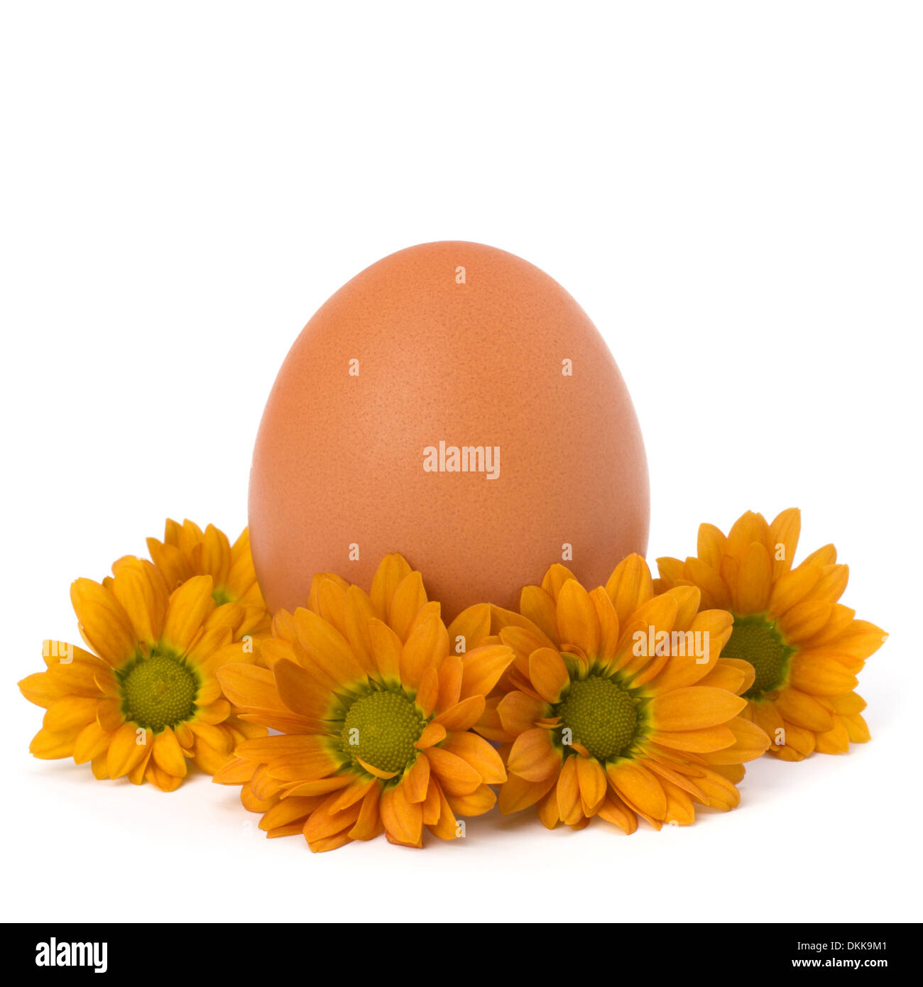 Easter egg isolated on white background Stock Photo - Alamy