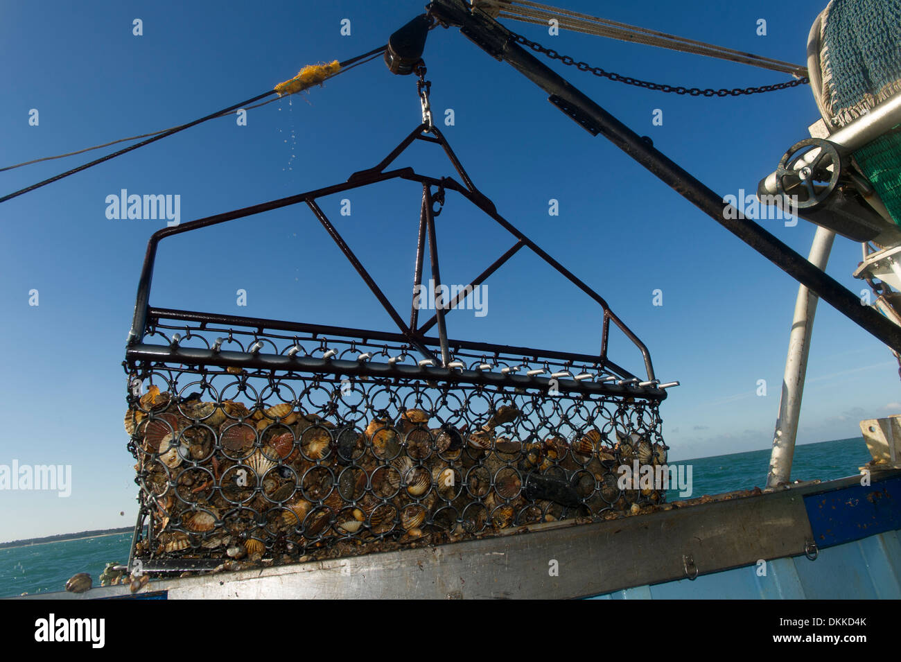 Scallop Dredge High Resolution Stock Photography and Images Alamy