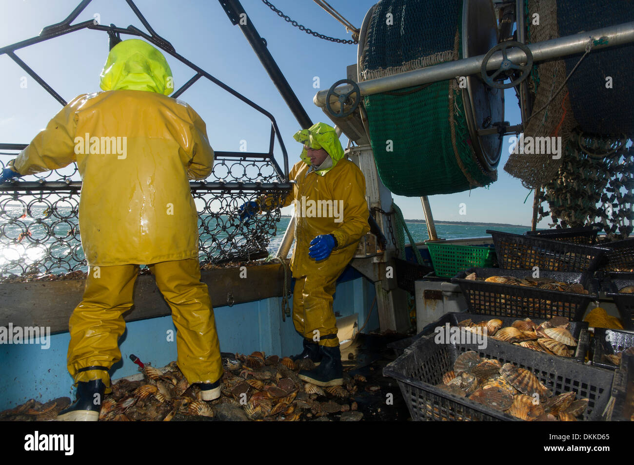 Scallop dredge hires stock photography and images Alamy