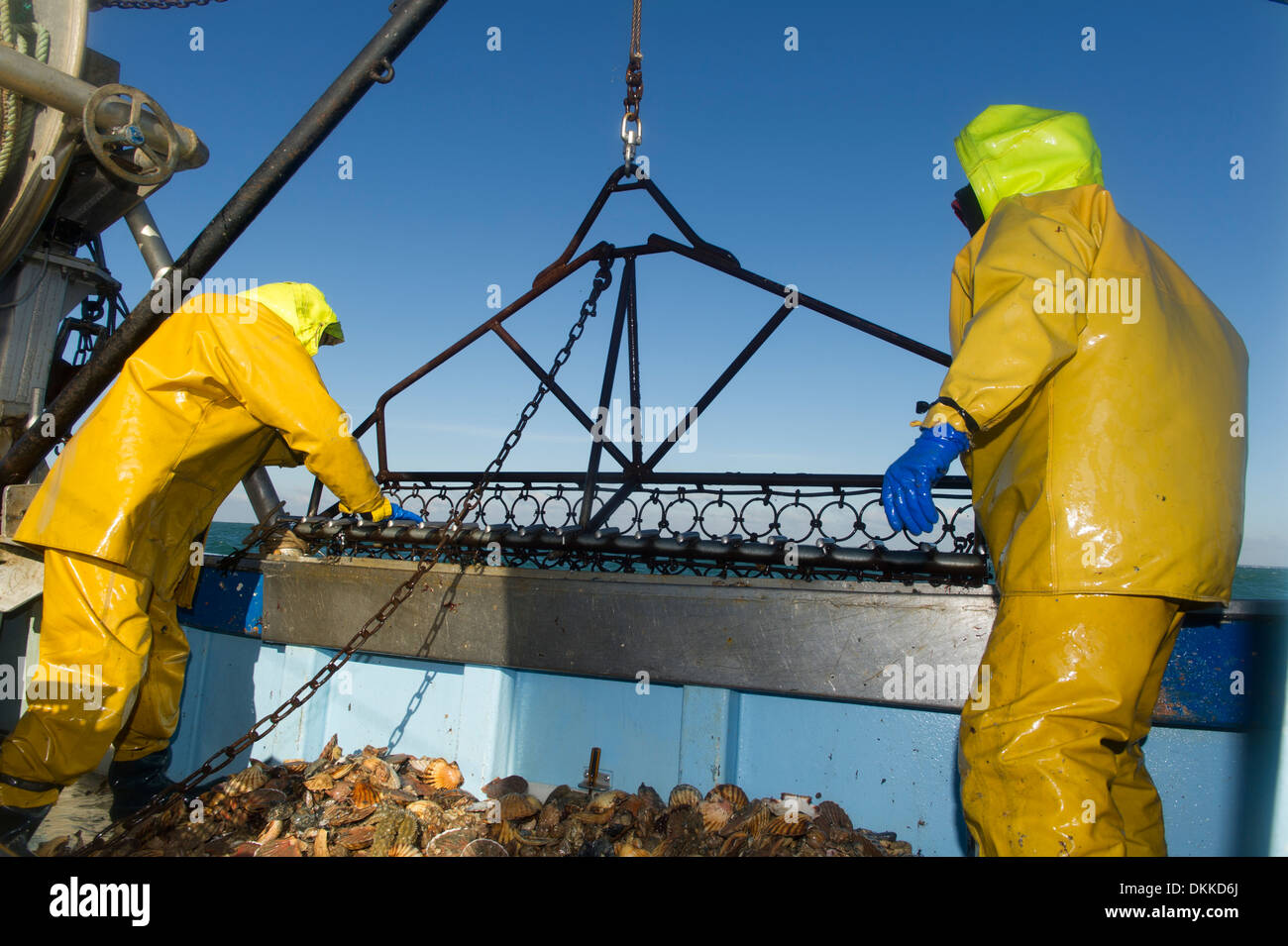 Dredge scallop hires stock photography and images Alamy