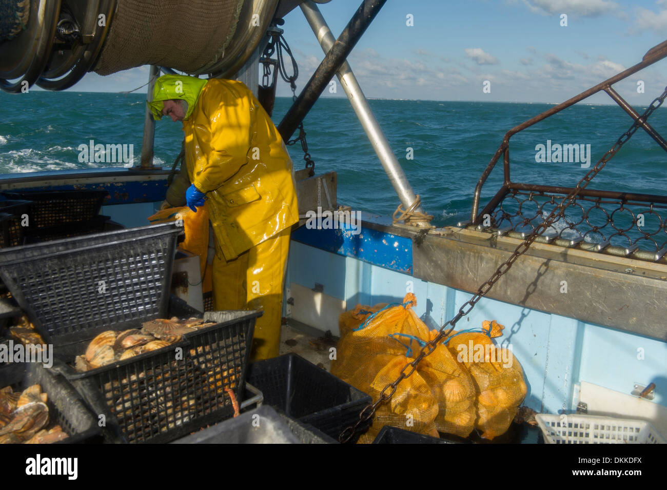 Scallop fishing hires stock photography and images Alamy