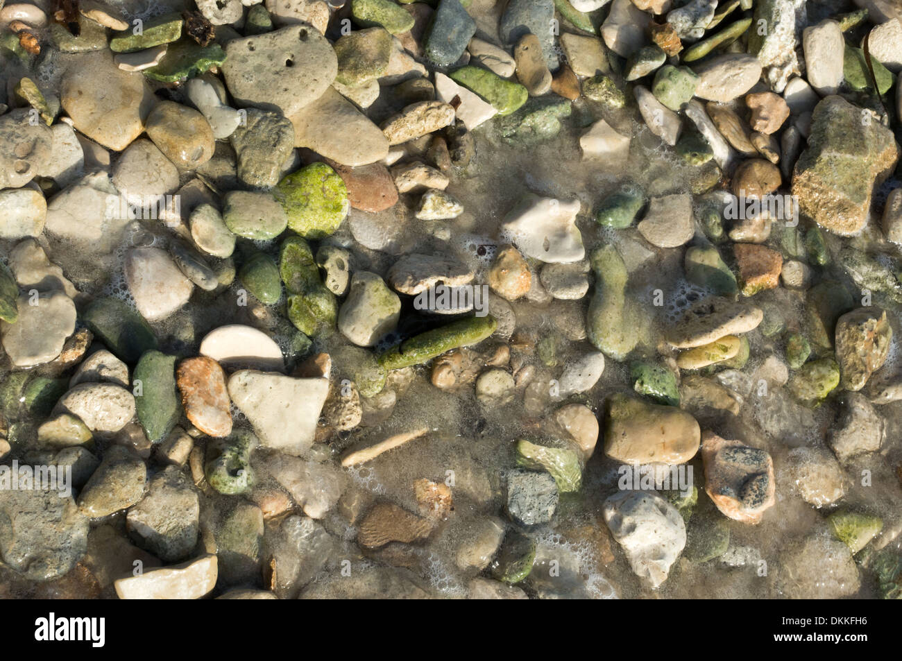 Green pebble rocks on a beach, possibly epidote, a common metamorphic mineral or a product of hydrothermal alteration of various Stock Photo