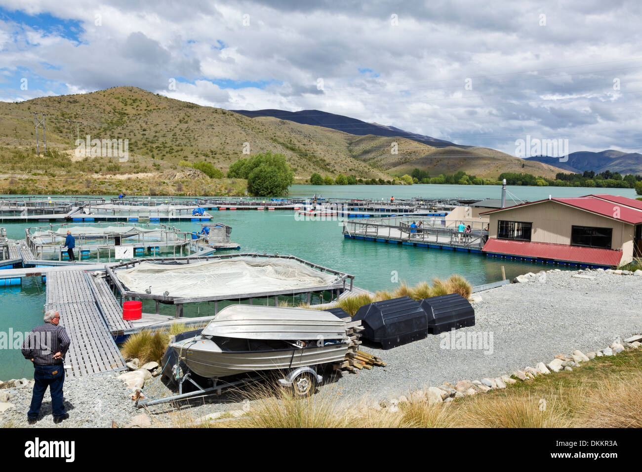 A salmon farm on the South Island of New Zealand Stock Photo Alamy