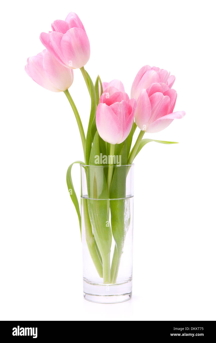 Pink tulips bouquet in vase isolated on white background Stock Photo ...