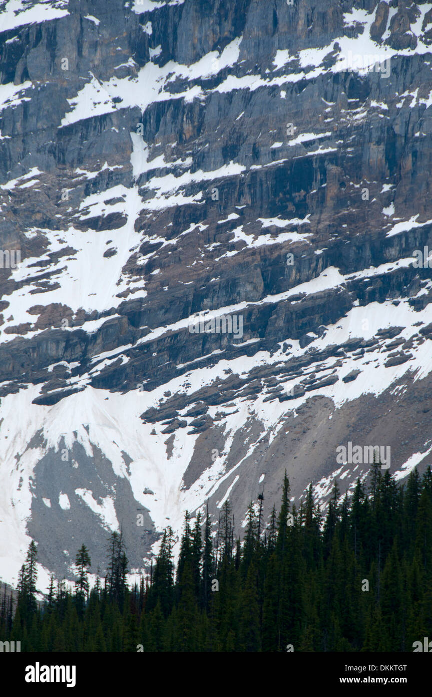 Cathedral Mountain from Sherbrooke Lake, Yoho National Park, British Columbia, Canada Stock Photo