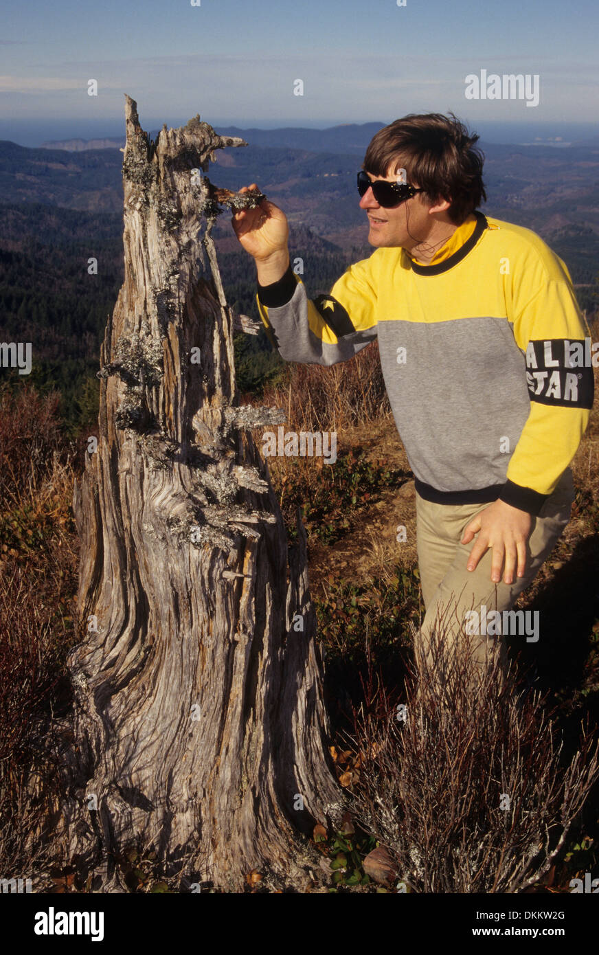 Mt Hebo stump on Pioneer Indian Trail, Siuslaw National Forest, Oregon