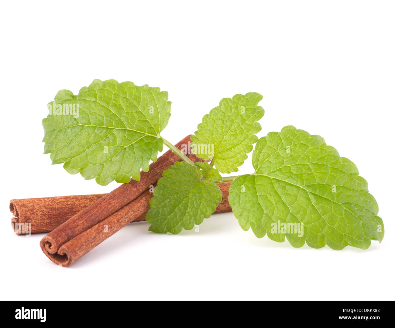 Cinnamon sticks and fresh mint leaf isolated on white background Stock Photo
