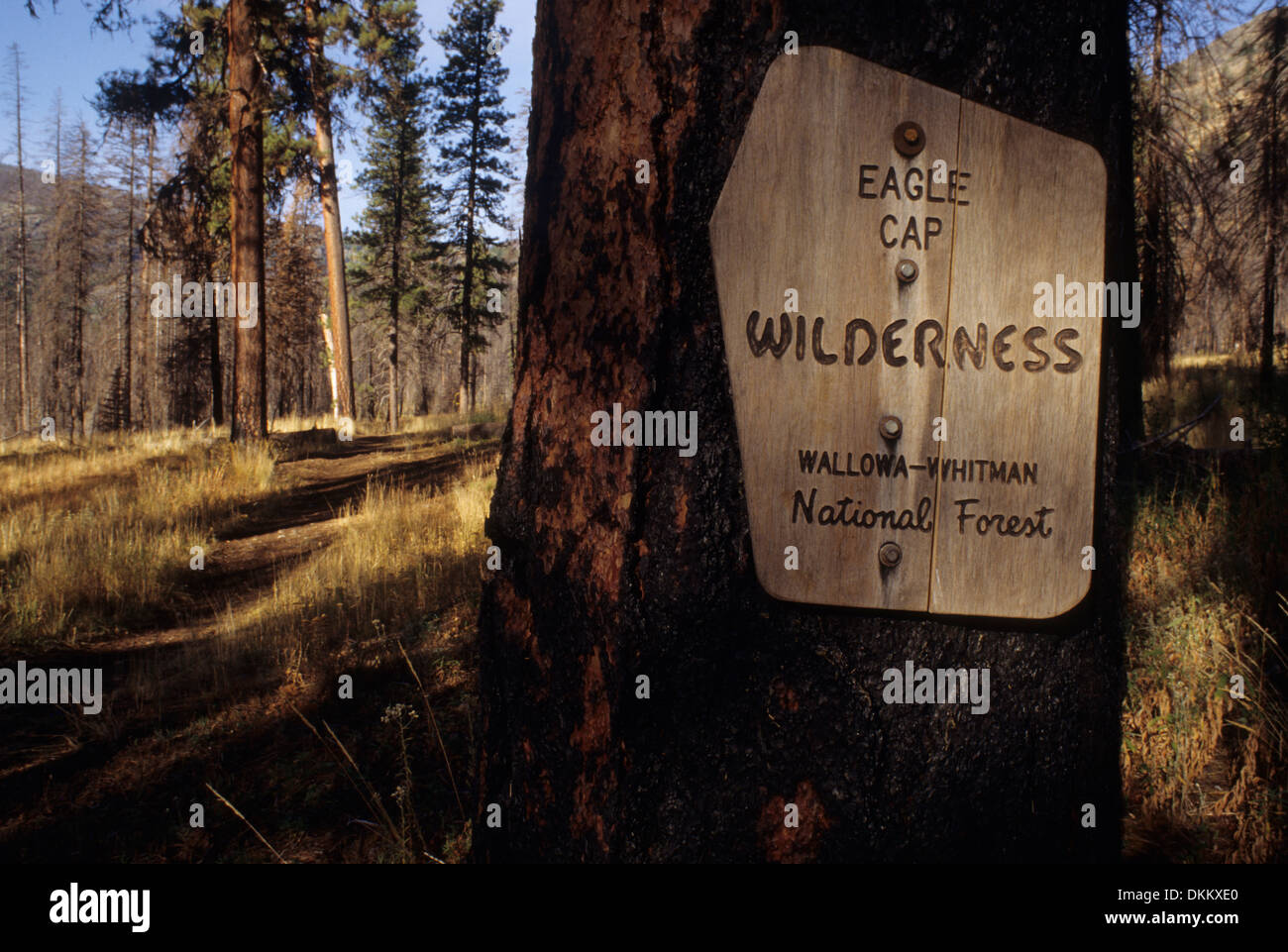 Wilderness Sign Example Wilderness sign at Twin Lakes Burn at Imnaha River, Eagle Cap ...