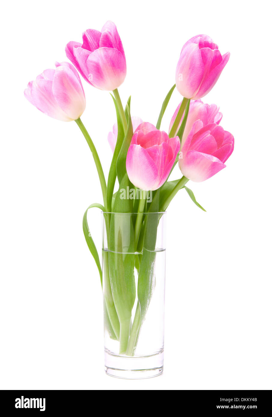 Pink tulips bouquet in vase isolated on white background Stock Photo ...