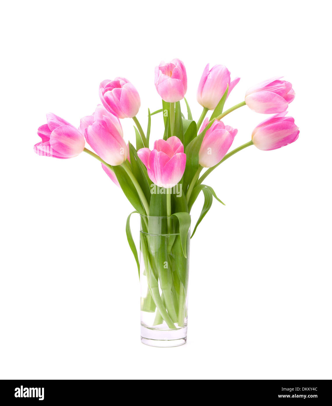 Pink tulips bouquet in vase isolated on white background Stock Photo ...