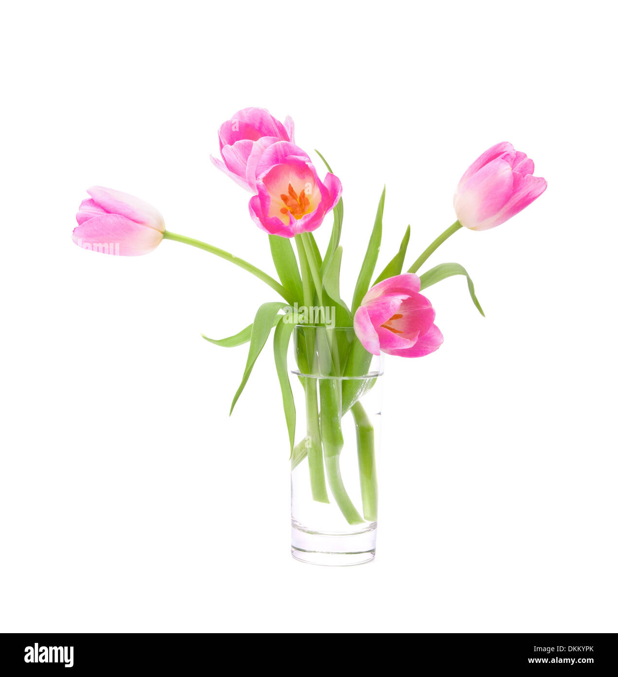 Pink tulips bouquet in vase isolated on white background Stock Photo ...