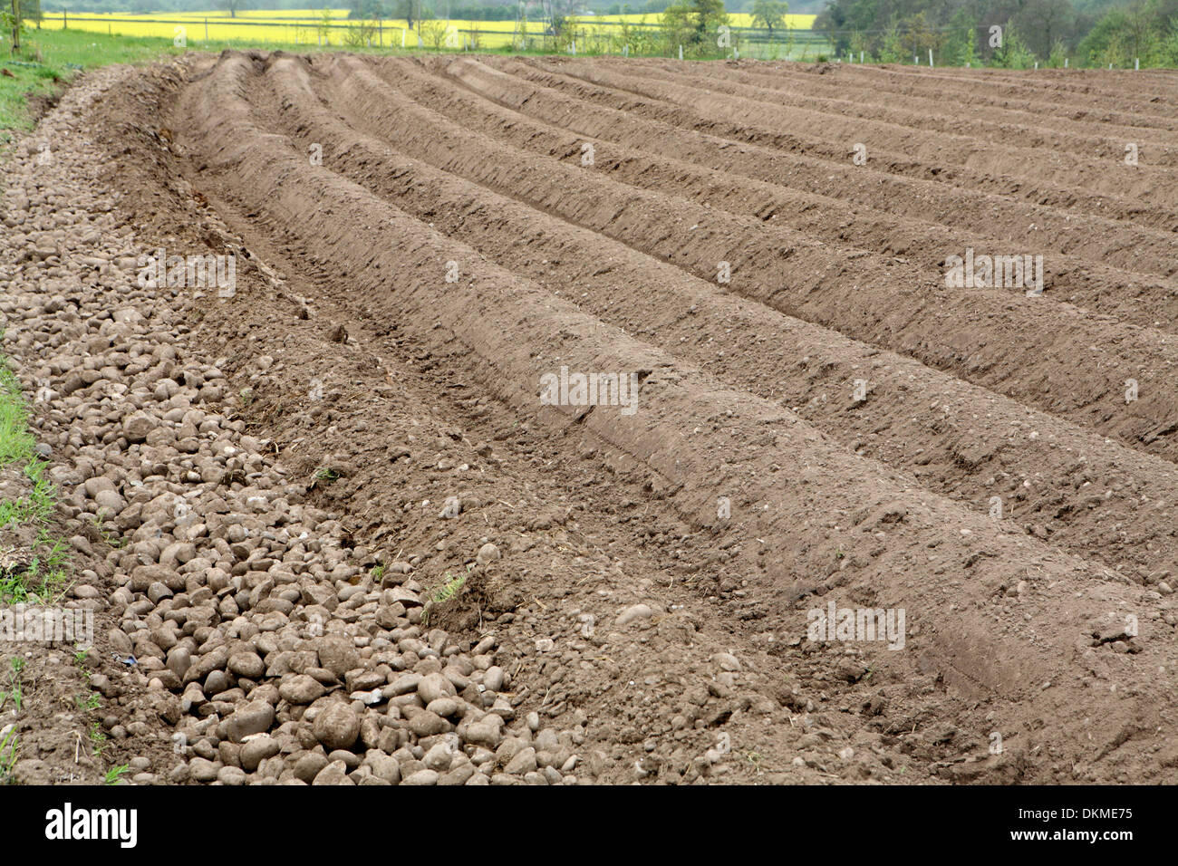 Ploughed field Stock Photo
