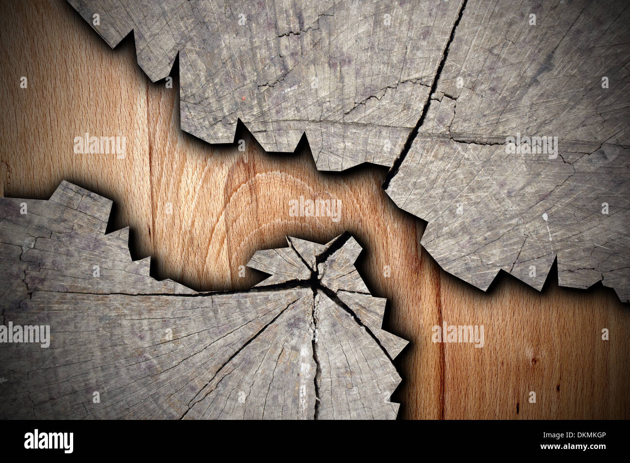 interesting wood texture with cracked tree stump Stock Photo