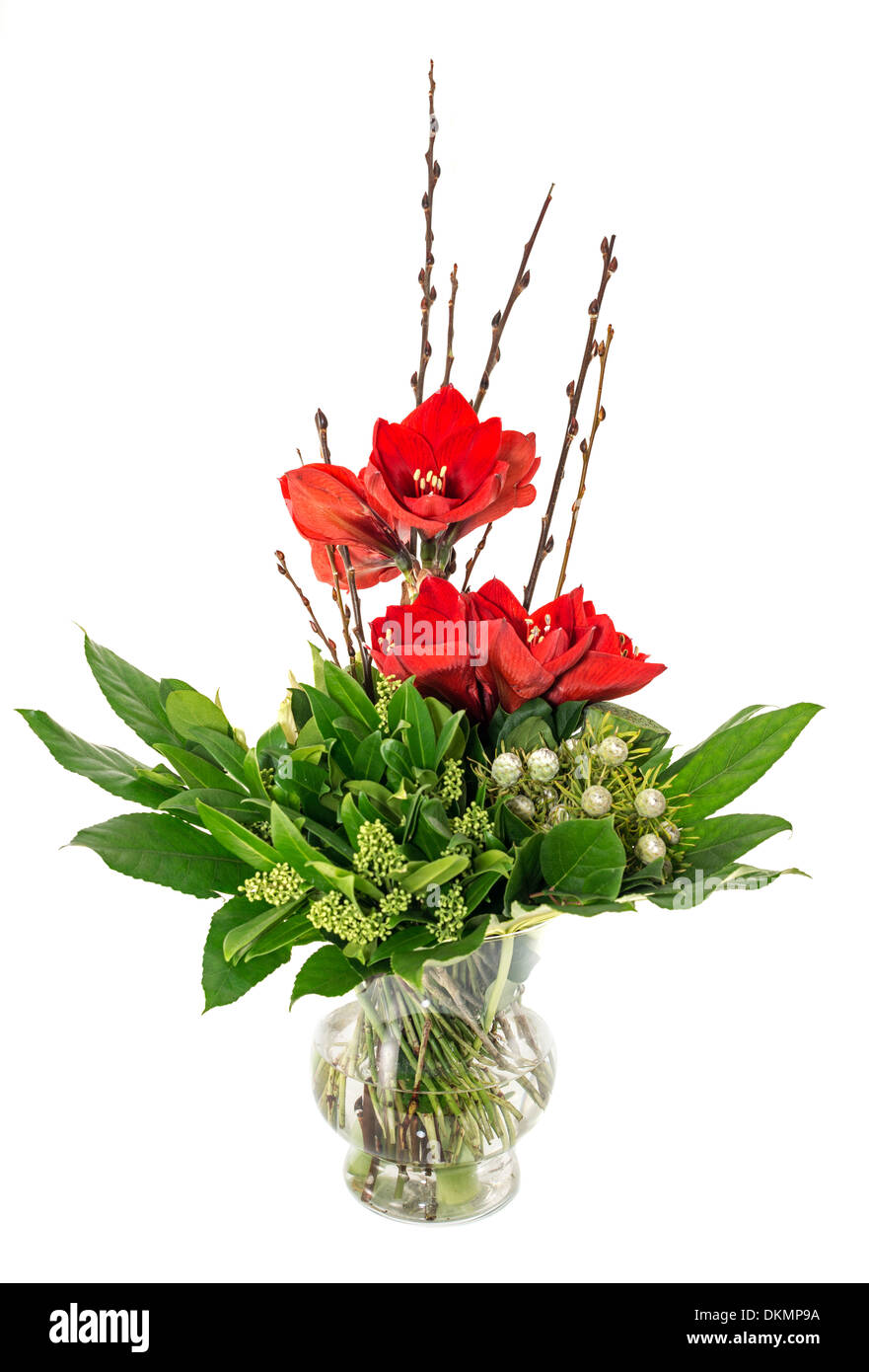 glass vase with red Amaryllis green leaves and white roses Stock Photo ...