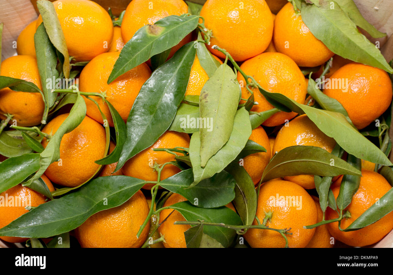 Mandarines fruit hires stock photography and images Alamy