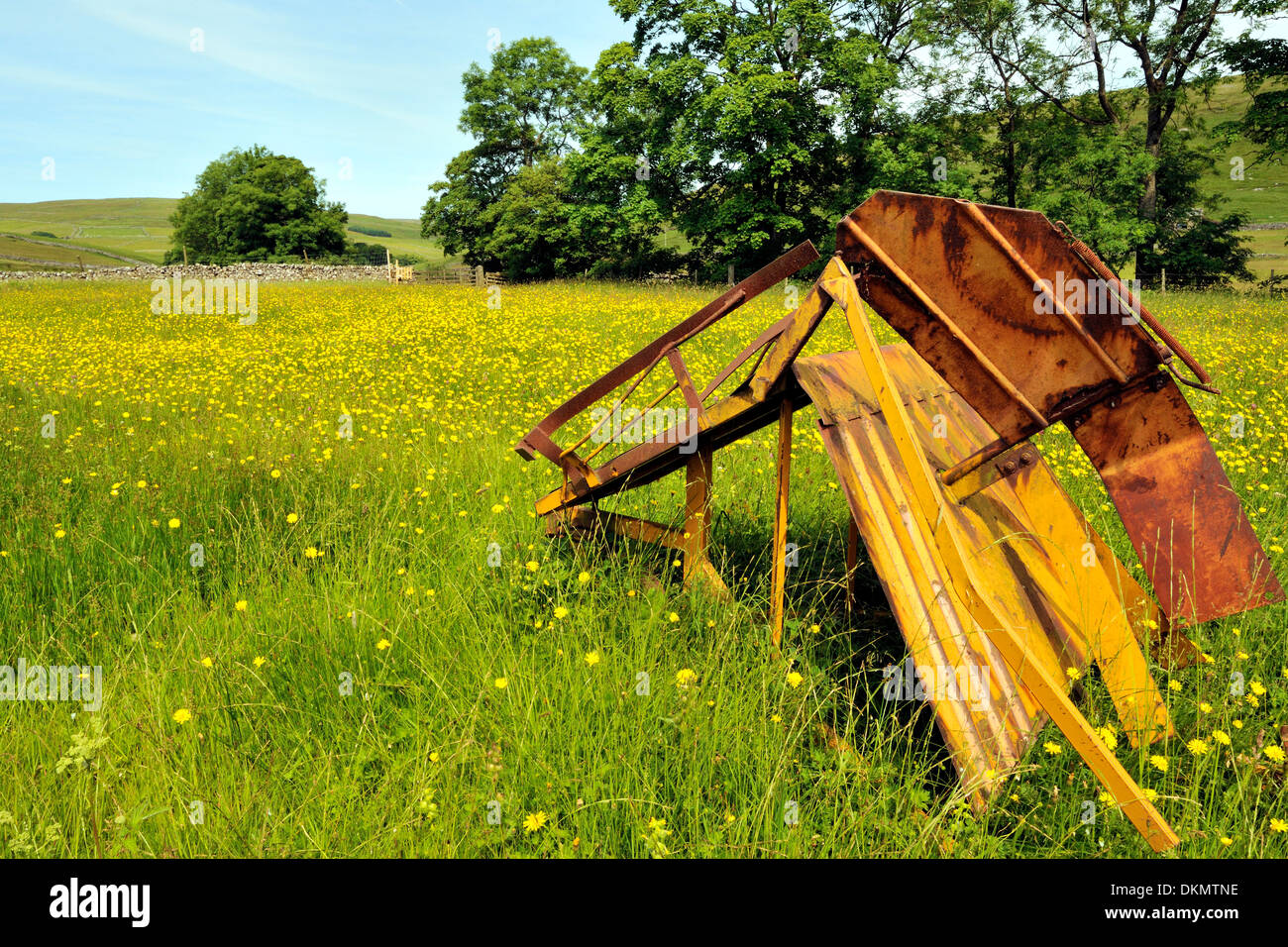 An abandoned and rusting hay making tool in a field of Arnica, Halton Gill, Littondale, Yorkshire Dales National Park, England Stock Photo