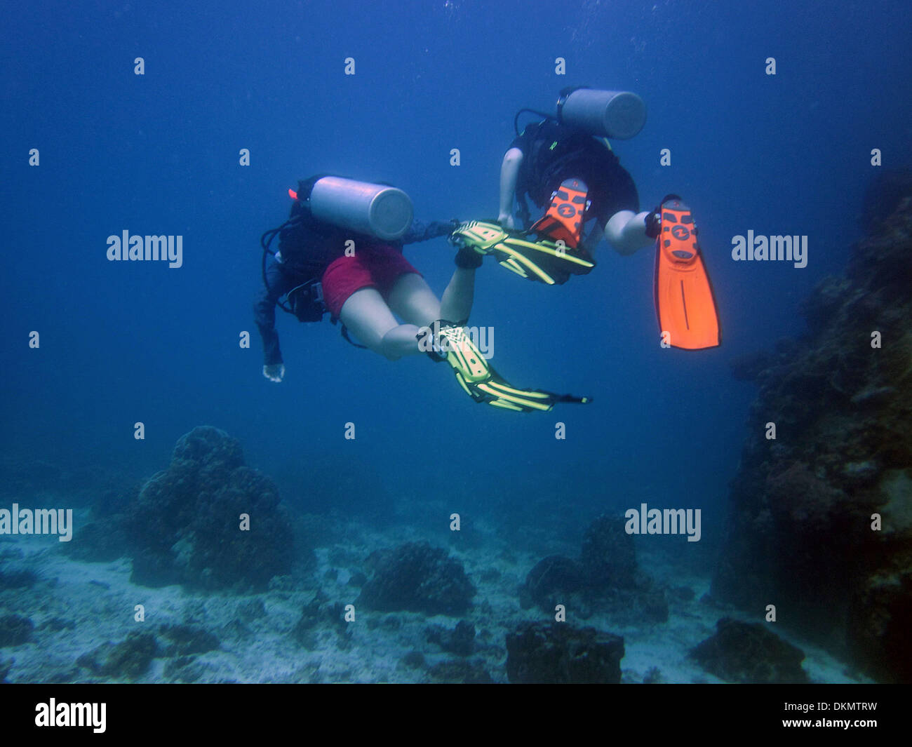 Diving Underwater Buddies Stock Photo