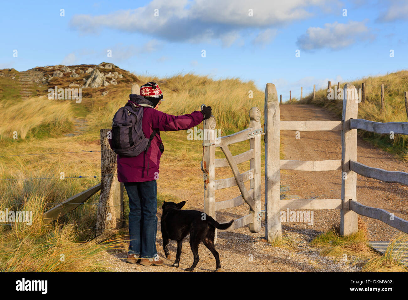 Woman walker walking a dog opening kissing gate on main path on Ynys Llanddwyn Island. Newborough Isle of Anglesey North Wales UK Stock Photo