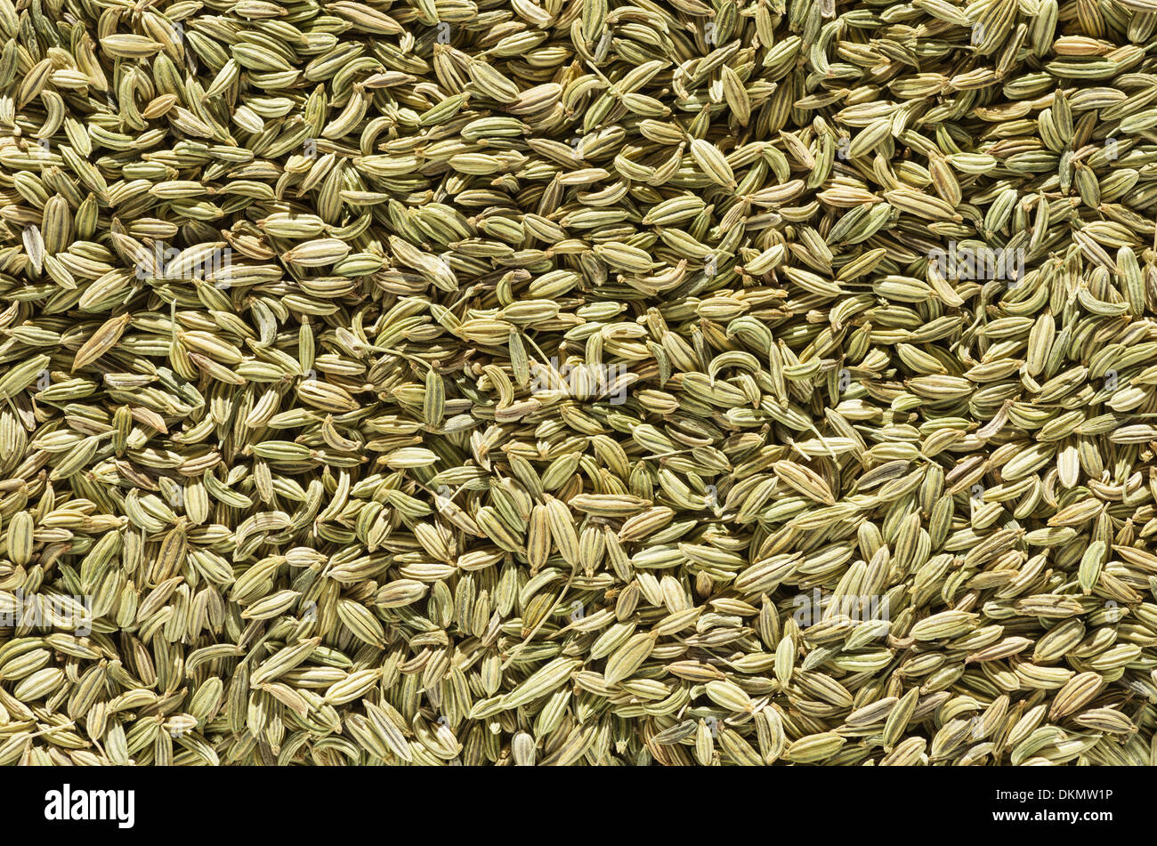 fennel seed spice macro background texture image Stock Photo